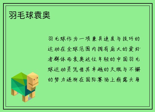 羽毛球袁奥